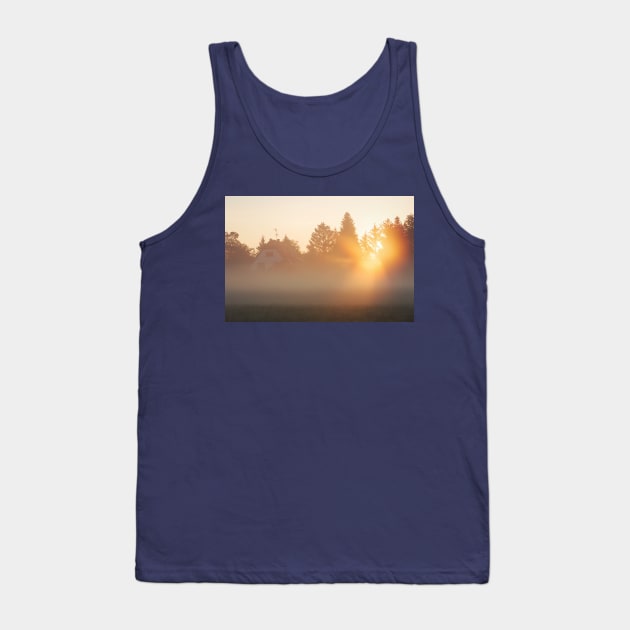 misty cabin Tank Top by 1STunningArt